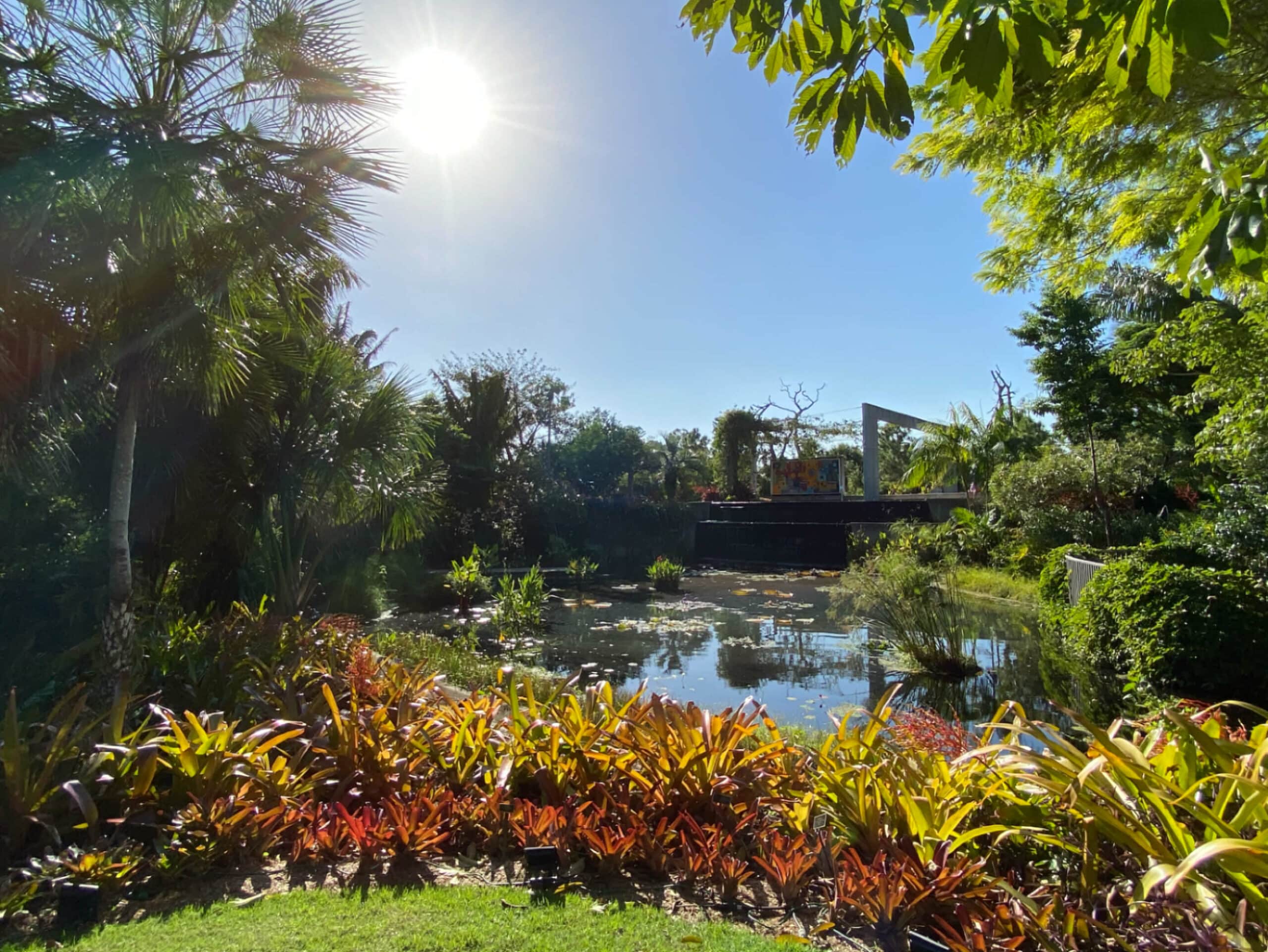 Parks in Naples Florida - Naples Botanical Gardens